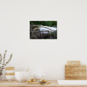 Snowy Egret Nesting Poster (Küche)