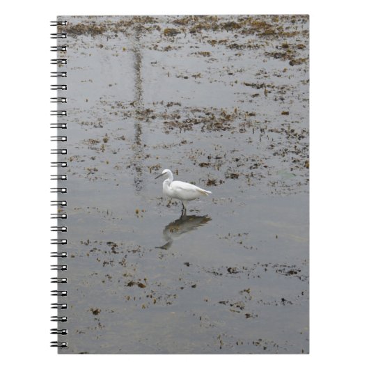Snowy Egret Notizblock (Vorderseite)