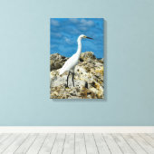 Snowy Egret on Rocks Leinwanddruck (Insitu (Holzboden))