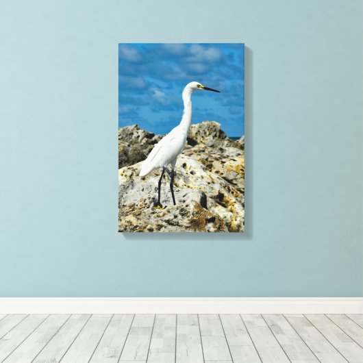 Snowy Egret on Rocks Leinwanddruck (Insitu (Holzboden))