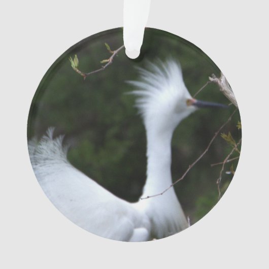 Snowy Egret Ornament (Vorderseite)