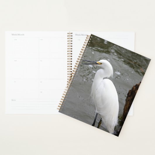 Snowy Egret Planer (Anzeige)
