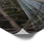 Snowy Egret Poster (Ecke)