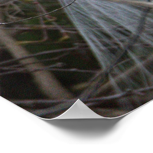 Snowy Egret Poster (Ecke)