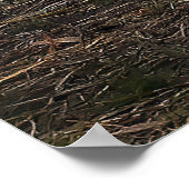 Snowy Egret Poster (Ecke)