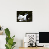 Snowy Egret Poster (Heimbüro)