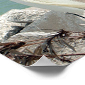 Snowy Egret Poster (Ecke)