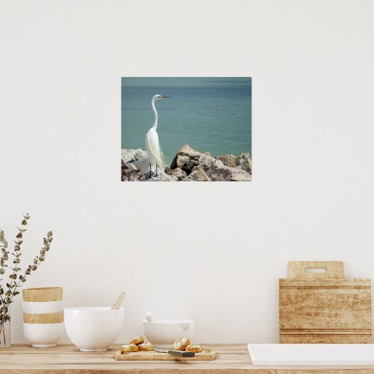 Snowy Egret Poster (Küche)