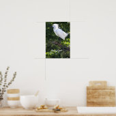 Snowy Egret Poster (Küche)