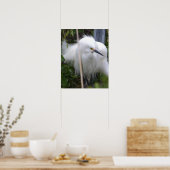 Snowy Egret Poster (Küche)