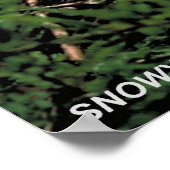 Snowy Egret Poster (Ecke)