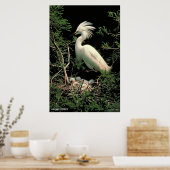 Snowy Egret Poster (Küche)