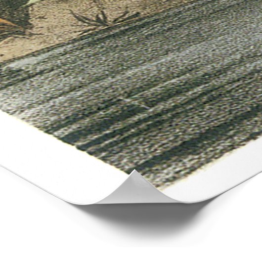 Snowy Egret Poster (Ecke)