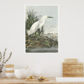 Snowy Egret Poster (Küche)