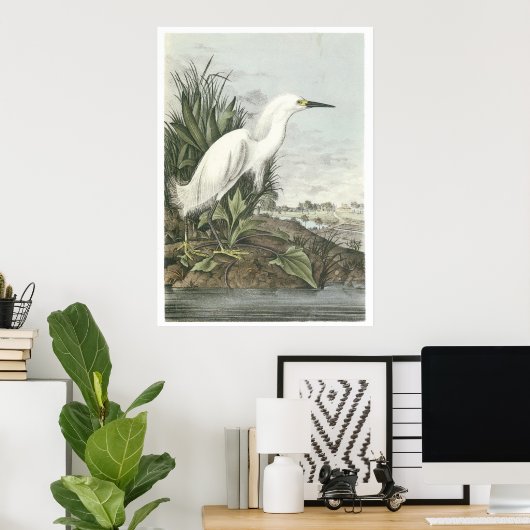 Snowy Egret Poster (Heimbüro)