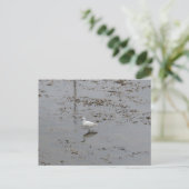 Snowy Egret Postkarte (Stehend Vorderseite)