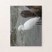 Snowy Egret Puzzle (Vertikal)