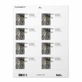 Snowy Egret Shipping Label (Vorne)