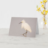Snowy Egret Walking Grußkarte Karte (Gelbe Blume)