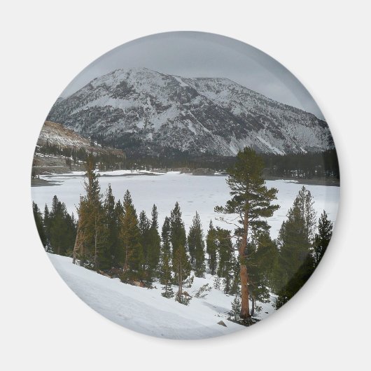 Snowy Ellery Winter Landschaft Magnet (Vorne)