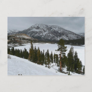 Snowy Ellery Winter Landschaft Postkarte