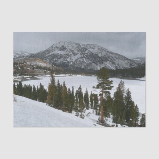 Snowy Ellery Winter Landschaft Seidenpapier (Vorderseite)