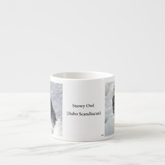 Snowy Espresso Tasse (Vorderseite)