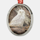 Snowy-Eule am Weihnachten Ornament Aus Metall (Links)