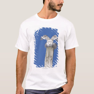 Snowy-Eule auf einen Pfosten, bereitend vor zu T-Shirt