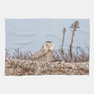 Snowy-Eule, die auf dem Strand sitzt Geschirrtuch