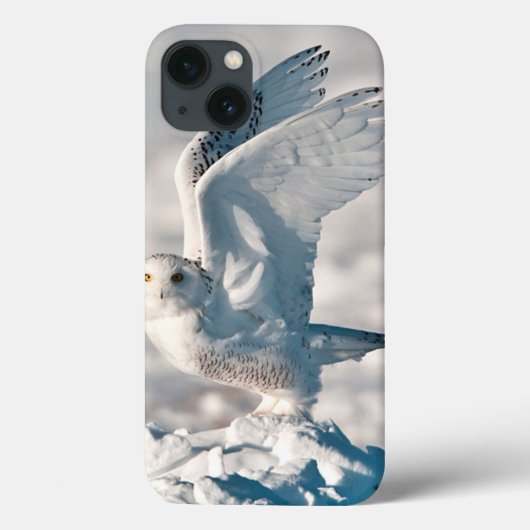 Snowy-Eule, die vom Schnee sich entfernt Case-Mate iPhone Hülle (Rückseite)
