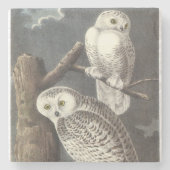 Snowy-Eule durch Audubon Steinuntersetzer (Vorderseite)
