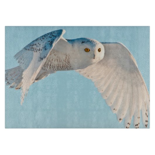 Snowy-Eule im Flug Schneidebrett (Vorderseite)