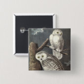 Snowy-Eule, John Audubon Button (Vorne & Hinten)