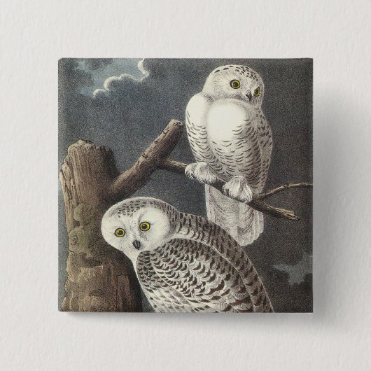 Snowy-Eule, John Audubon Button (Vorderseite)