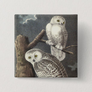 Snowy-Eule, John Audubon Button