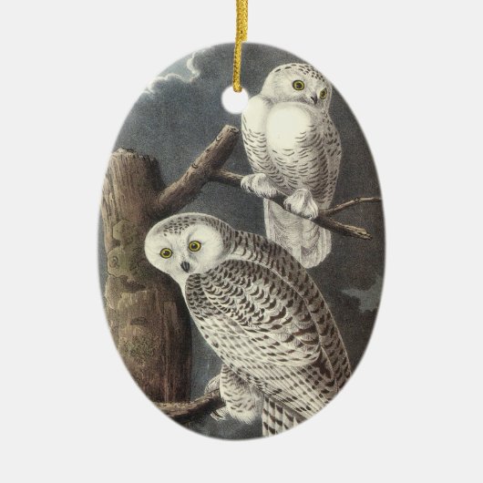 Snowy-Eule, John Audubon Keramik Ornament (Vorne)