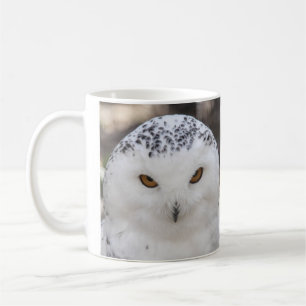 Snowy-Eule Kaffeetasse