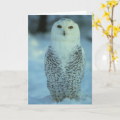 Snowy-Eule Karte (Gelbe Blume)