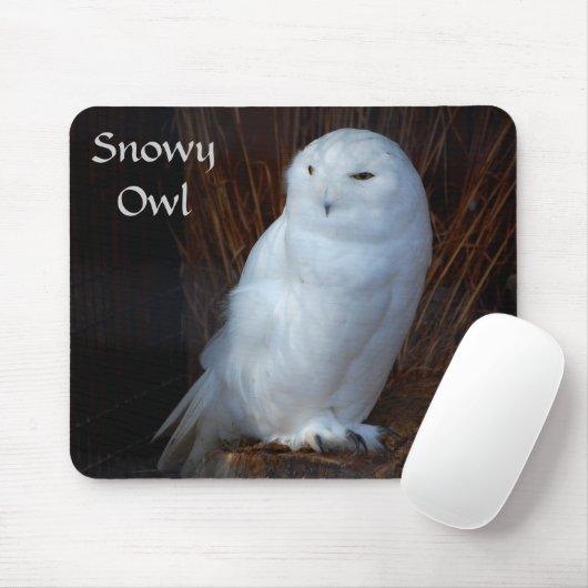 Snowy-Eule - mousepad (Mit Mouse)