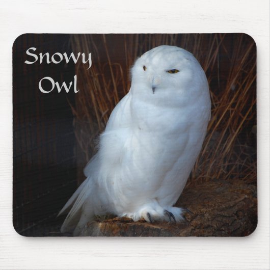 Snowy-Eule - mousepad (Vorne)
