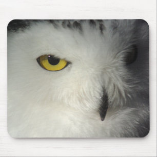 Snowy-Eule Mousepad