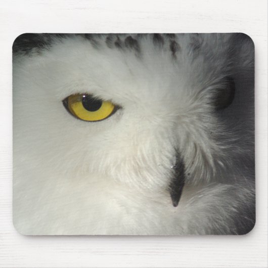 Snowy-Eule Mousepad (Vorne)