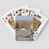 Snowy-Eule Spielkarten (Rückseite)