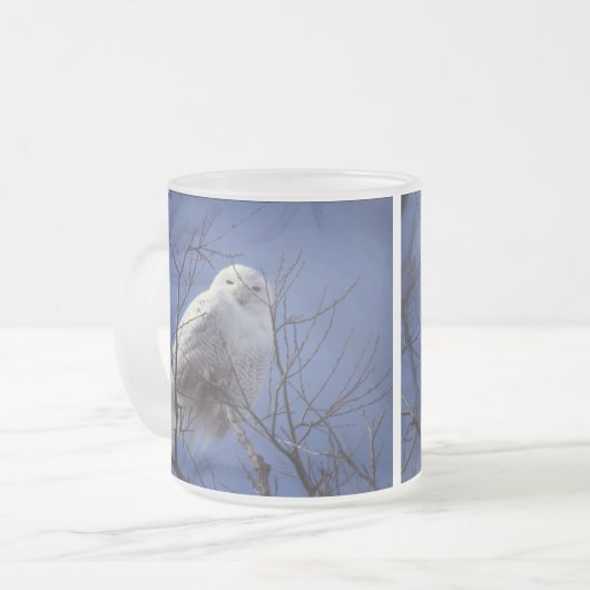 Snowy-Eule - weißer Vogel gegen einen Mattglastasse (Vorderseite Links)