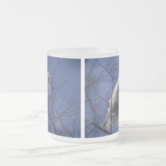 Snowy-Eule - weißer Vogel gegen einen Mattglastasse (Mittel)