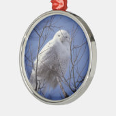 Snowy-Eule - weißer Vogel gegen einen Ornament Aus Metall (Links)