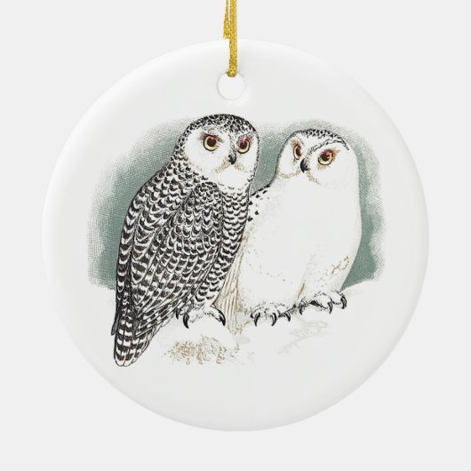 Snowy-Eulen Keramik Ornament (Hinten)