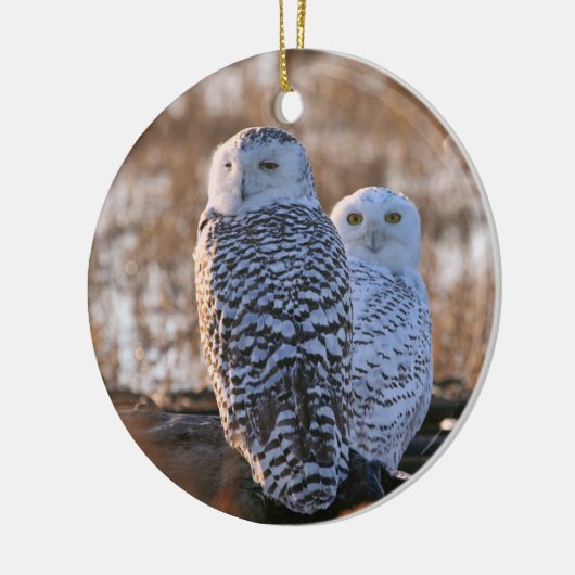 Snowy-Eulen-Paare Keramik Ornament (Links)