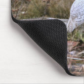 Snowy-Eulen-Paare Mousepad (Ecke)